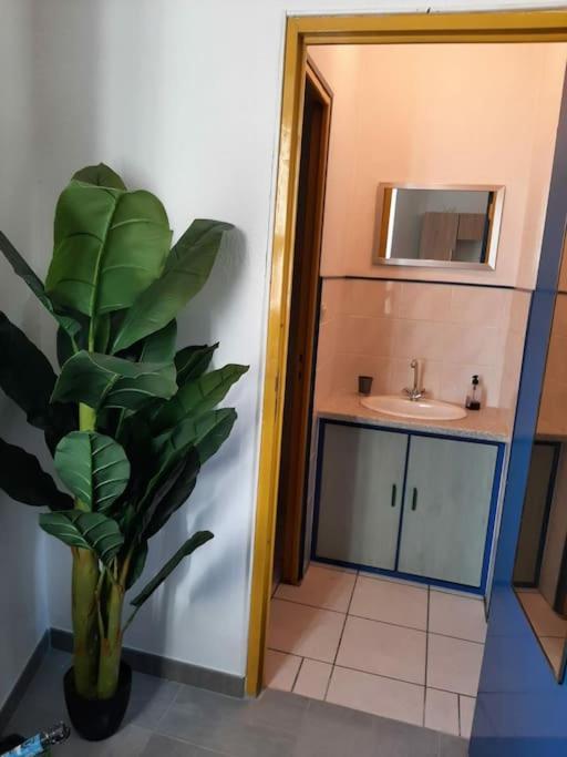Апартаменти Confortable En Hyper Centre Parking Gratuit Dans La Rue Acces Avec Boite A Clee Кастр Екстер'єр фото